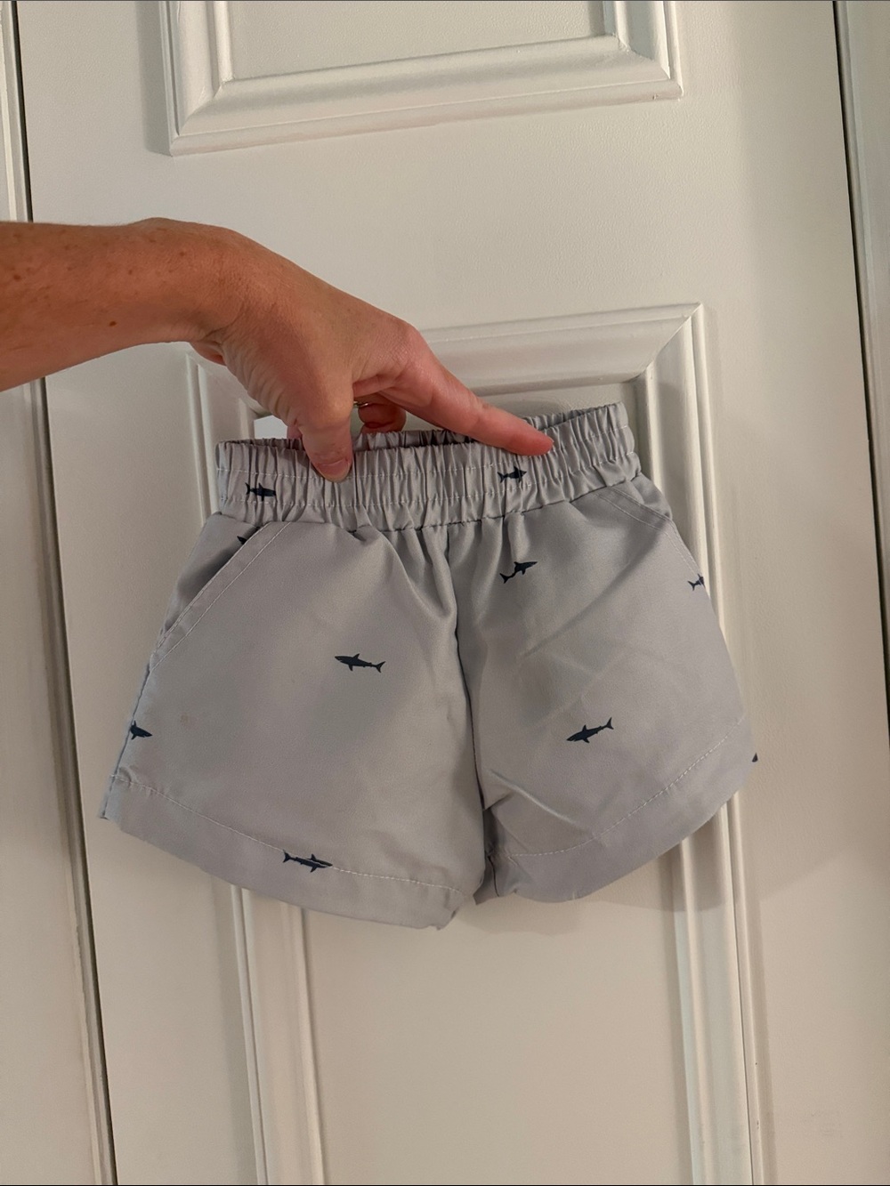 Sugar Bee Shark Shorts